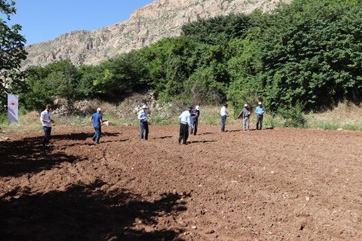 Siirt Tarım ve Orman İl Müdürlüğü tarafından çitçilere dağıtılan susam