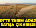 Siirt’te Tarım Arazisi Satışa Çıkarıldı