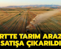 Siirt’te Tarım Arazisi Satışa Çıkarıldı