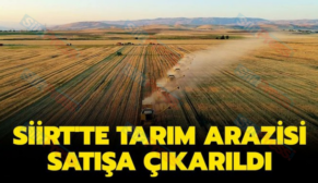 Siirt’te Tarım Arazisi Satışa Çıkarıldı