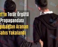 Siirt’te Terör Örgütü Propagandası Yapmaktan Aranan Şahıs Yakalandı