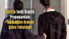 Siirt’te Terör Örgütü Propagandası Yapmaktan Aranan Şahıs Yakalandı