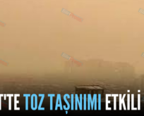 SİİRT’TE TOZ TAŞINIMI ETKİLİ OLDU