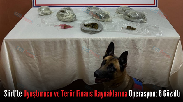 Siirt’te Uyuşturucu ve Terör Finans Kaynaklarına Operasyon: 6 Gözaltı