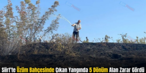 Siirt’te Üzüm Bahçesinde Çıkan Yangında 5 Dönüm Alan Zarar Gördü