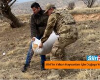 Siirt’te Yaban Hayvanları İçin Doğaya Yem Bırakıldı