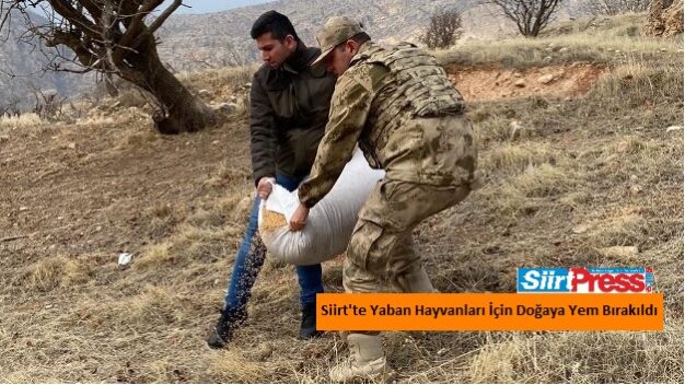Siirt’te kış şartlarında yaban hayvanlarının aç kalmaması için doğaya yem