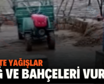 SİİRT’TE YAĞIŞLAR BAĞ VE BAHÇELERİ VURDU
