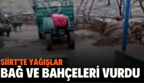 SİİRT’TE YAĞIŞLAR BAĞ VE BAHÇELERİ VURDU