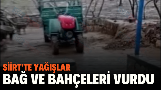 SİİRT’TE YAĞIŞLAR BAĞ VE BAHÇELERİ VURDU