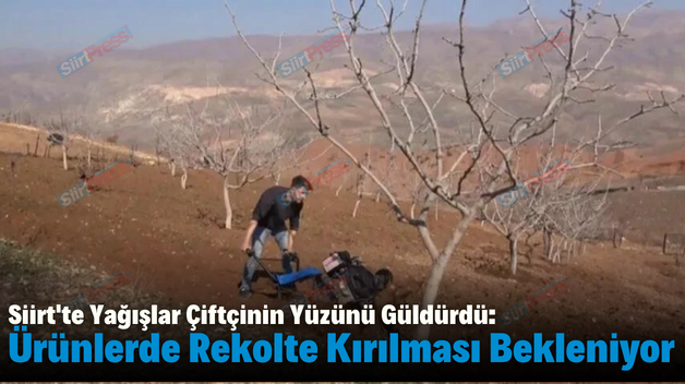 Siirt’te Yağışlar Çiftçinin Yüzünü Güldürdü: Ürünlerde Rekolte Kırılması Bekleniyor