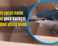 Siirt’te yaralı halde bulunan gece balıkçılı kuşu tedavi altına alındı