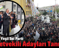 Siirt’te Yeşil Sol Parti Milletvekili Adayları Tanıtıldı