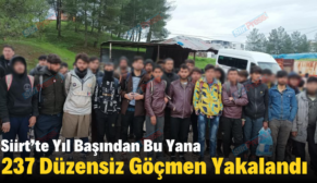 Siirt’te Yıl Başından Bu Yana 237 Düzensiz Göçmen Yakalandı