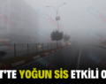 SİİRT’TE YOĞUN SİS ETKİLİ OLDU