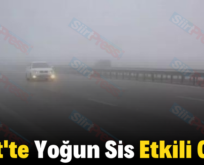 Siirt’te Yoğun Sis Etkili Oldu