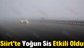 Siirt’te Yoğun Sis Etkili Oldu