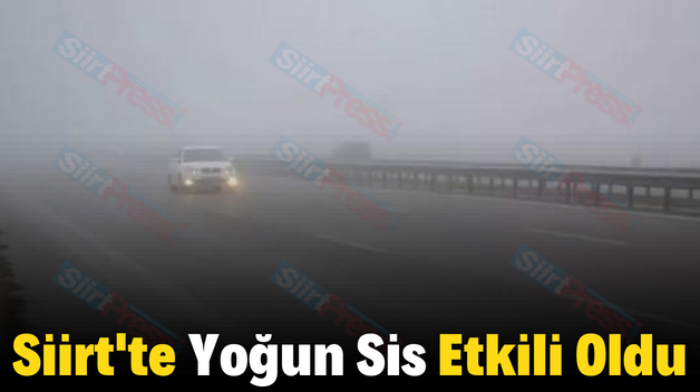 Siirt’te Yoğun Sis Etkili Oldu