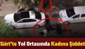 Siirt’te Yol Ortasında Kadına Şiddet