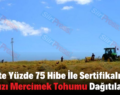 Siirt’te Yüzde 75 Hibe İle Sertifikalı Kırmızı Mercimek Tohumu Dağıtılacak