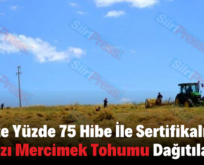 Siirt’te Yüzde 75 Hibe İle Sertifikalı Kırmızı Mercimek Tohumu Dağıtılacak