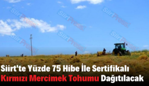 Siirt’te Yüzde 75 Hibe İle Sertifikalı Kırmızı Mercimek Tohumu Dağıtılacak