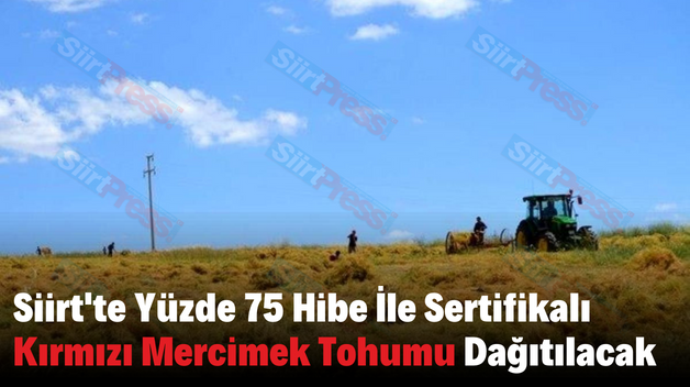 Siirt’te Yüzde 75 Hibe İle Sertifikalı Kırmızı Mercimek Tohumu Dağıtılacak