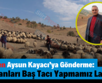 Siirt’ten Aysun Kayacı’ya Gönderme: “Çobanları Baş Tacı Yapmamız Lazım”