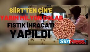 Siirt’ten Çin’e Yarım Milyon Dolar Fıstık İhracatı Yapıldı