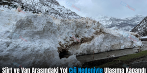 Siirt ve Van Arasındaki Yol Çığ Nedeniyle Ulaşıma Kapandı
