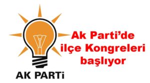 Adalet ve Kalkınma Partisi (AK Parti) Siirt İlçe Kongreleri başlıyor. Temayül ve istişare