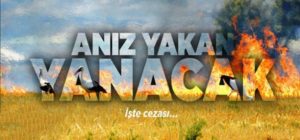 Hububat hasadından sonra kalan artıkların yakılması ile ilgili Siirt Gıda