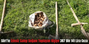 Siirt’te İzinsiz Salep Soğanı Toplayan Kişiye 387 Bin 141 Lira Ceza
