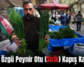 Siirt’e Özgü Peynir Otu (Sirik) Kapış Kapış!..