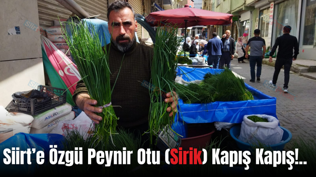 Siirt’e Özgü Peynir Otu (Sirik) Kapış Kapış!..