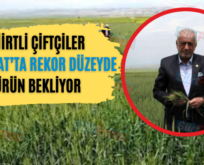 Siirtli Çiftçiler Hububat’ta Rekor Düzeyde Ürün Bekliyor