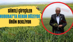 Siirtli Çiftçiler Hububat’ta Rekor Düzeyde Ürün Bekliyor