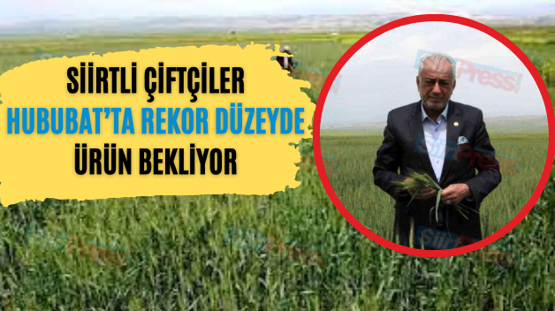 Siirtli Çiftçiler Hububat’ta Rekor Düzeyde Ürün Bekliyor