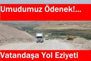 Siirtliler, il genelindeki karayolu çalışmalarına yeterli ilgi göstermeyen Karayolları Diyarbakır