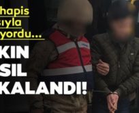 SİİRT’TE, 11 YIL HAPİSLE ARANAN PKK’LI YAKALANDI