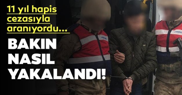 SİİRT’TE, 11 YIL HAPİSLE ARANAN PKK’LI YAKALANDI