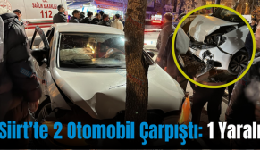 Siirt’te 2 Otomobil Çarpıştı: 1 Yaralı