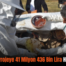 Siirt’te 56 Projeye 41 Milyon 436 Bin Lira Hibe Desteği