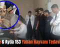 Siirt’te 6 Ayda 153 Yaban Hayvanı Tedavi Edildi