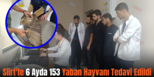 Siirt’te 6 Ayda 153 Yaban Hayvanı Tedavi Edildi
