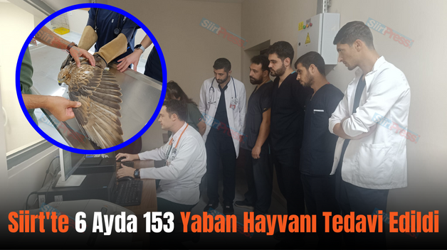 Siirt’te 6 Ayda 153 Yaban Hayvanı Tedavi Edildi