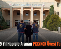 Siirt’te 9 Yıl Hapisle Aranan PKK/KCK Üyesi Tutuklandı