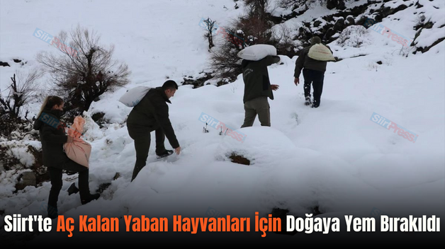 Siirt’te Aç Kalan Yaban Hayvanları İçin Doğaya Yem Bırakıldı