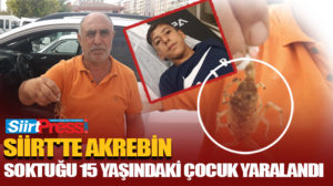 Siirt’in merkeze bağlı Yerlibahçe (Kıtmıs) köyünde evinden tarlaya gittiği sırada