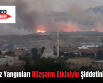 Siirt Anız Yangınları Rüzgarın Etkisiyle Şiddetini Arttırdı